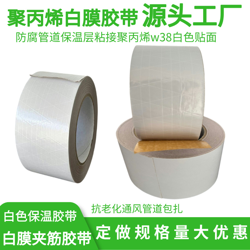 白膜12