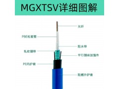 MGXTSV中心束管式阻燃矿用光缆图4