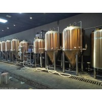 长春酒店小型啤酒设备 自酿啤酒的设备500升啤酒机器
