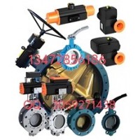 德国依博罗EBRO支耳式涡轮蝶阀Z014-A价格优惠速发货