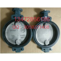 现货供应德国依博罗蝶阀Z011-A DN350规格齐全速发货