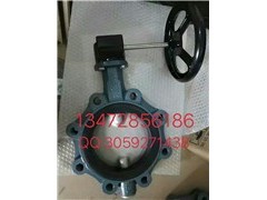 保证原装正品德国EBRO依博罗涡轮蝶阀 Z014-A图1