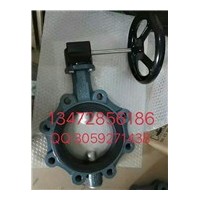 保证原装正品德国EBRO依博罗涡轮蝶阀 Z014-A