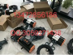 保证原装正品德国EBRO依博罗涡轮蝶阀 Z014-A图3