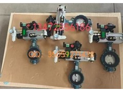 保证正品 德国依博罗EBRO阀门规格齐全图3