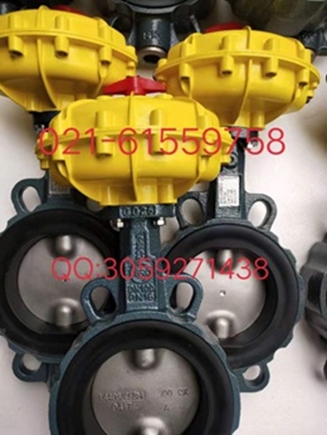 原装正品 德国依博罗EBRO气动扇形蝶阀