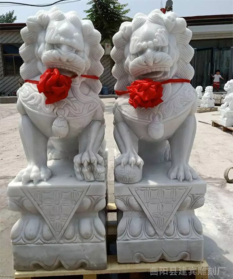 5_714_2133826_750_900.jpg.webp (1)