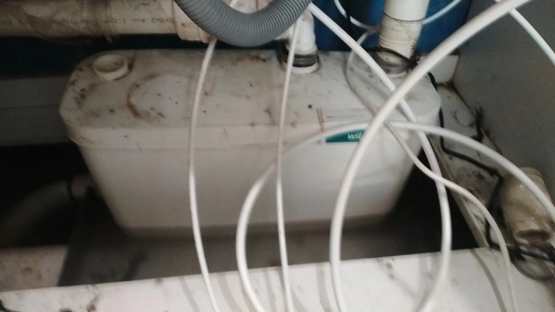 .12威乐德国_20230919101246