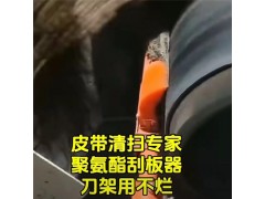 耐磨聚氨酯刮板P型清扫器 耐磨厂家定制图2